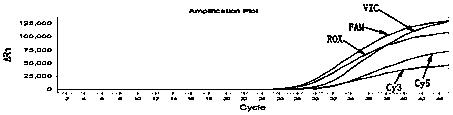 Human MTHFR and MTRR gene polymorphism detection kit