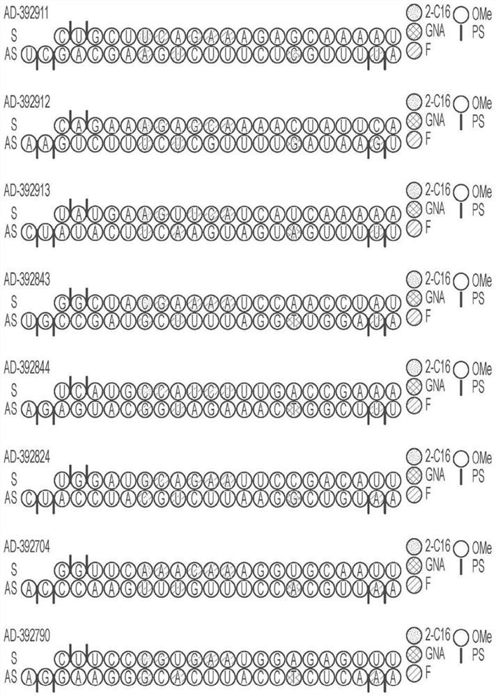 AMYLOID PRECURSOR PROTEIN (APP) RNAi AGENT COMPOSITIONS AND METHODS OF USE THEREOF