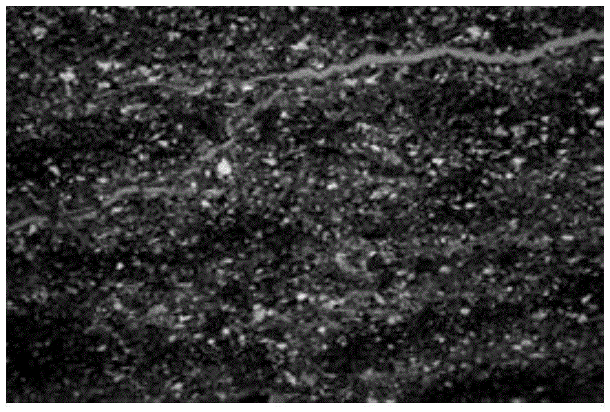 High-definition scanning observation method for ultra-heavy oil sandstone reservoirs