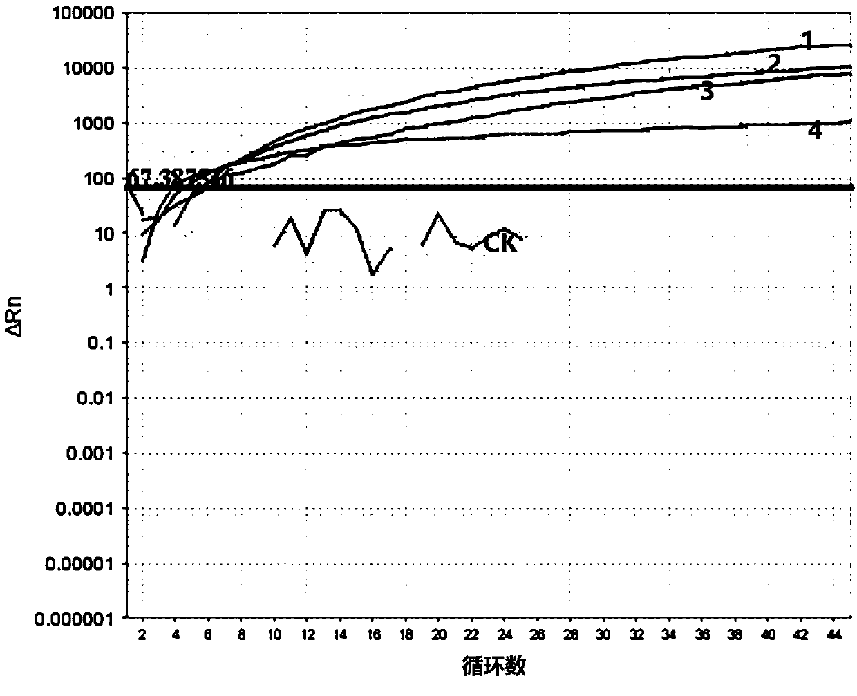 NASBA detection method for identifying 1/2c serotype of listeria monocytogenes