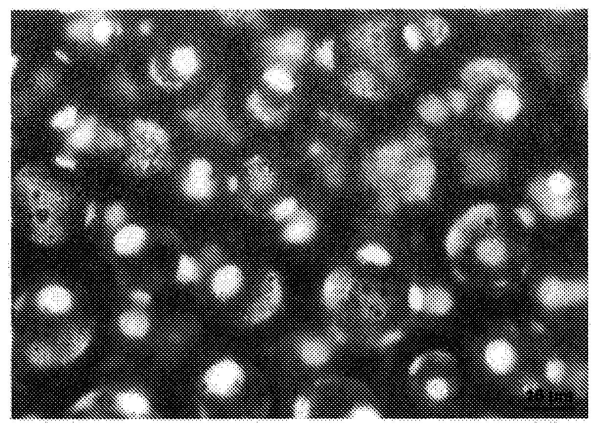 Oil-in-water type emulsion composition, and method for producing said oil-in-water type emulsion composition