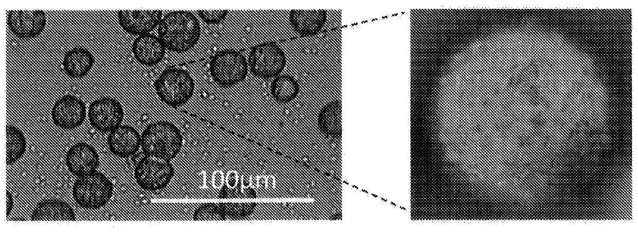 Oil-in-water type emulsion composition, and method for producing said oil-in-water type emulsion composition