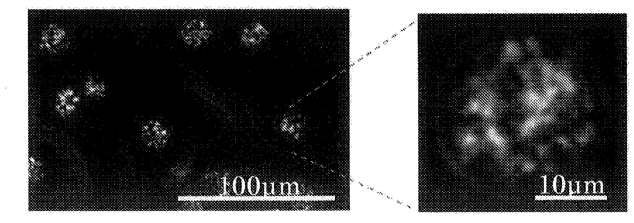 Oil-in-water type emulsion composition, and method for producing said oil-in-water type emulsion composition