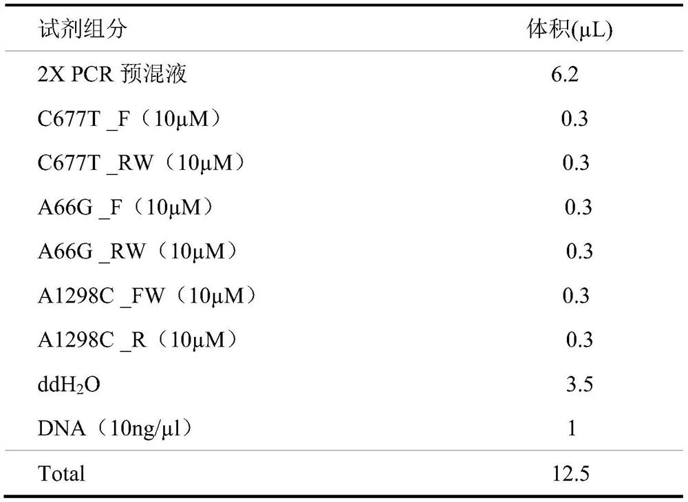 Kit for detecting polymorphism of folic acid metabolism genes