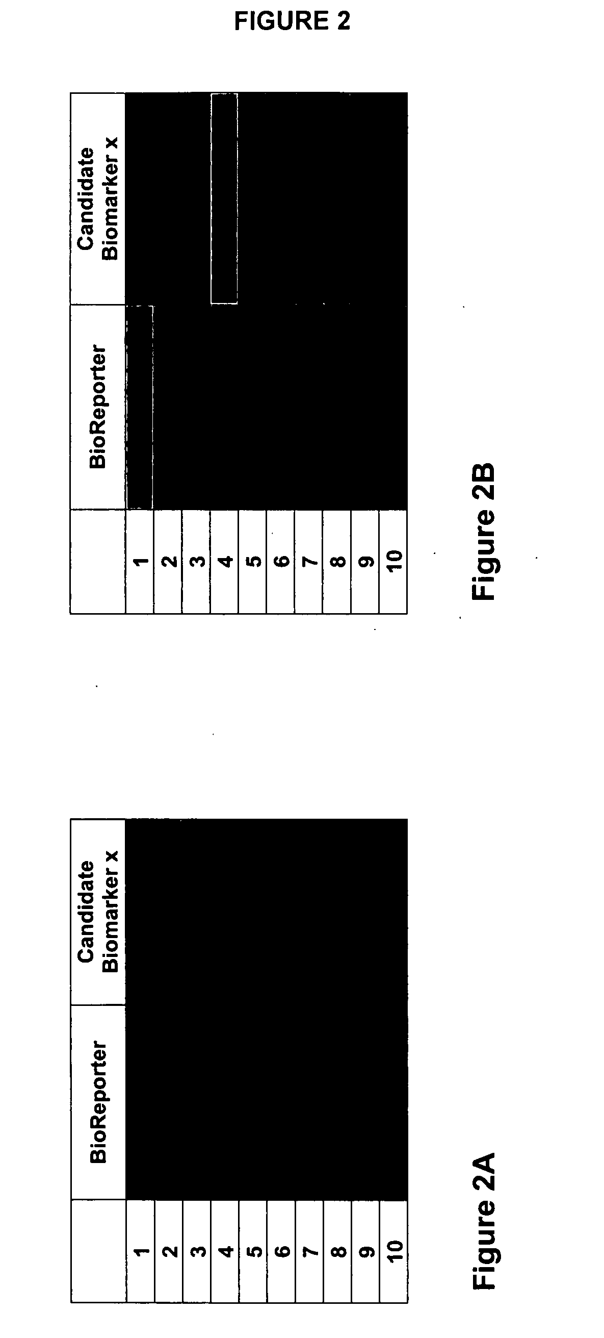 Methods and compositions for identifying biomarkers