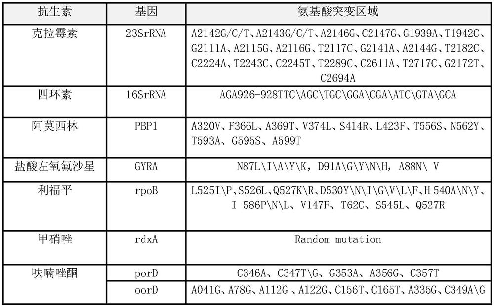 Method and kit for typing detection of drug resistance of helicobacter pylori in oral cavity