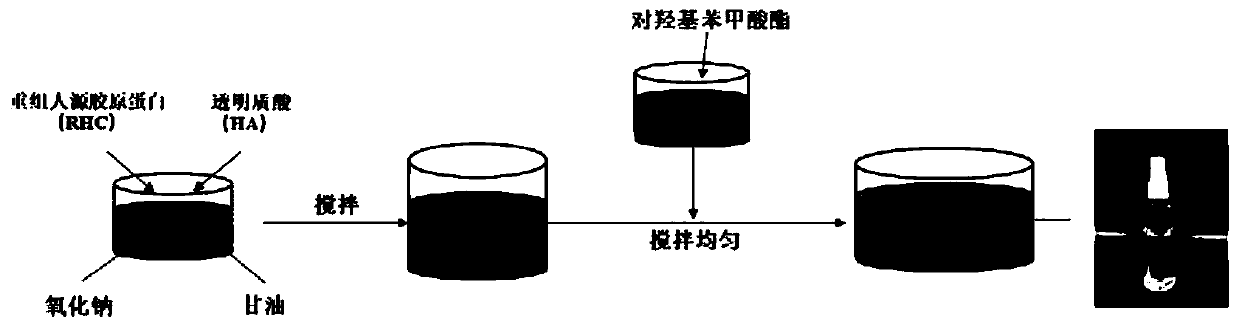 Medical recombinant collagen spray and preparation method thereof