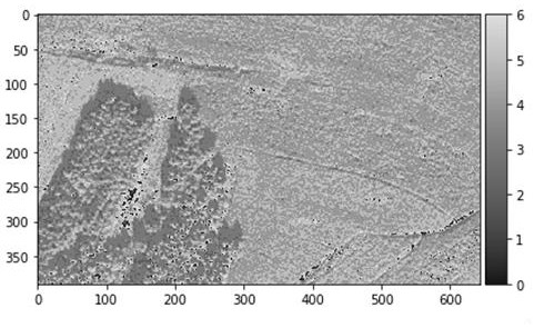 Vegetation classification method of remote sensing image based on gradient scale interval change regular operator