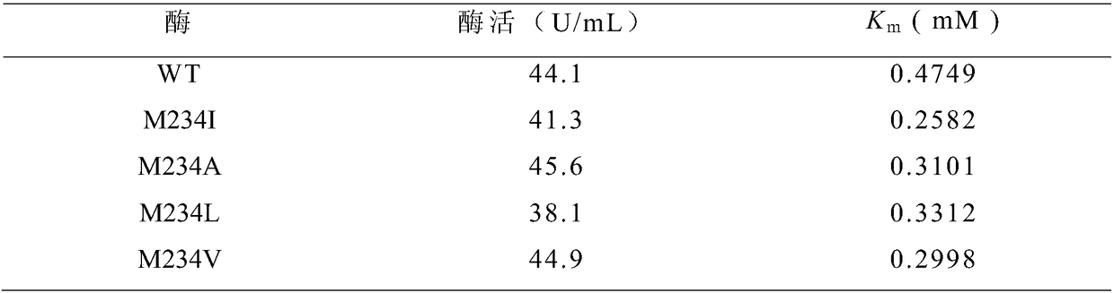 Cyclodextrin glycosyltransferase mutants and application thereof