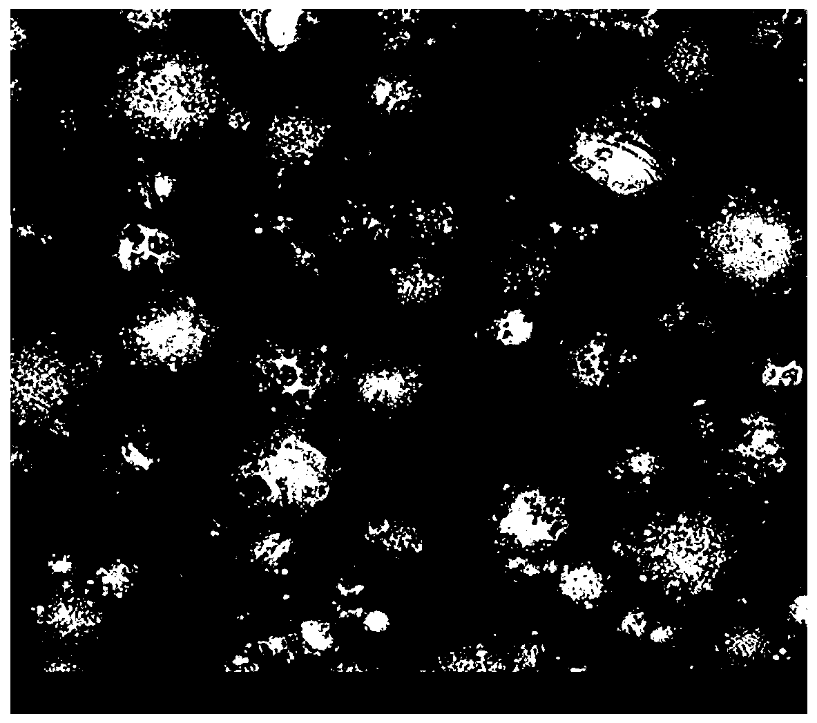 A kind of high-performance metal-ceramic composite powder used as thermal spraying structure feeding material and its preparation method