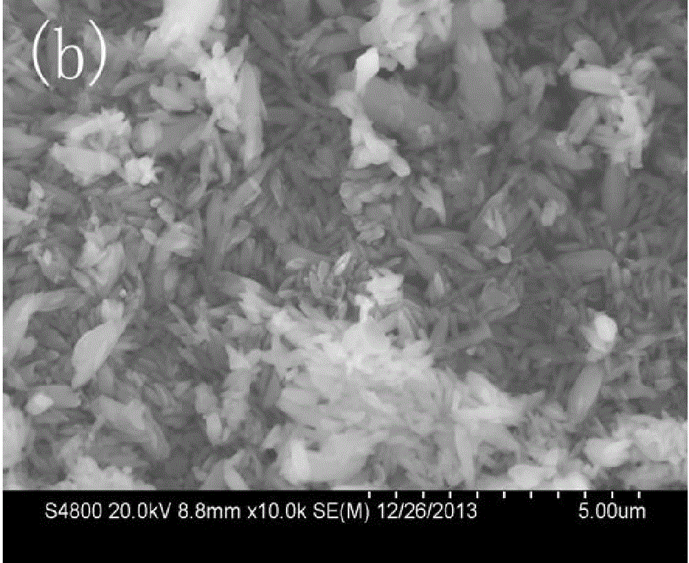 Method for synthesizing spindly bismuth phosphate by adopting imidazole dihydric phosphate type ionic liquid