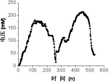 Microbial fuel cell and preparation method thereof