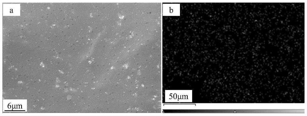 A kind of composite polymer solid electrolyte, solid lithium battery and preparation method thereof