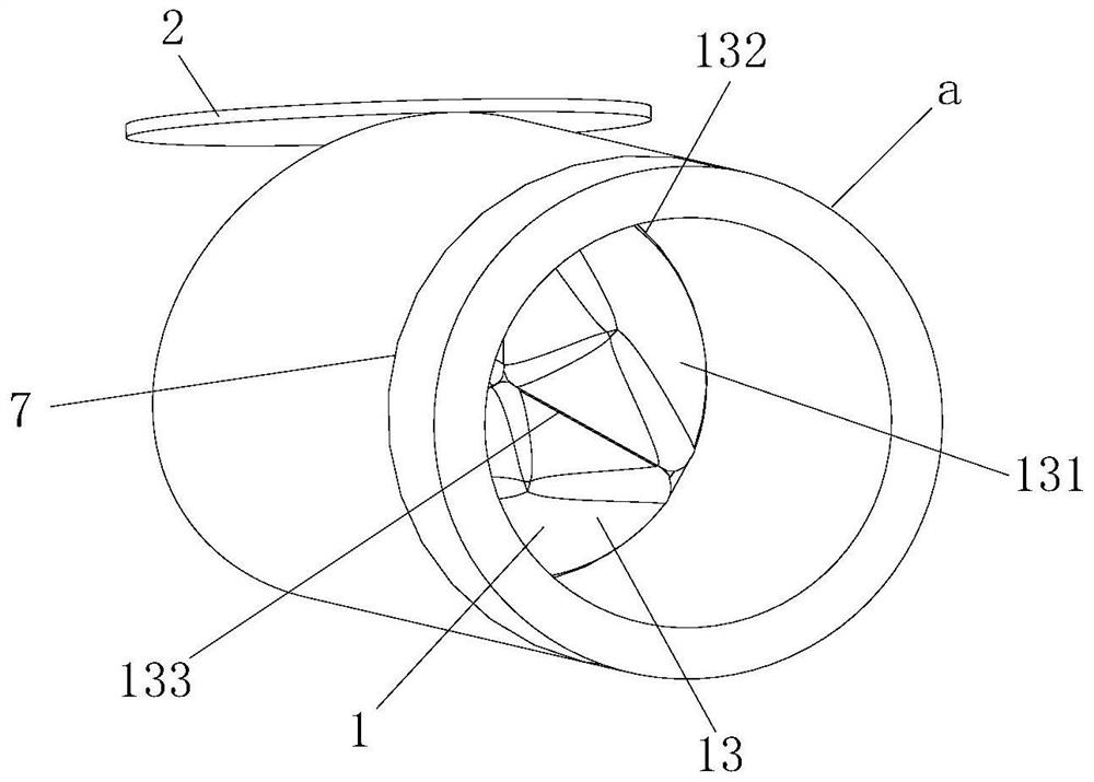 A puncture cannula and perfusion catheter for perfusion of abdominal organ transplant donors