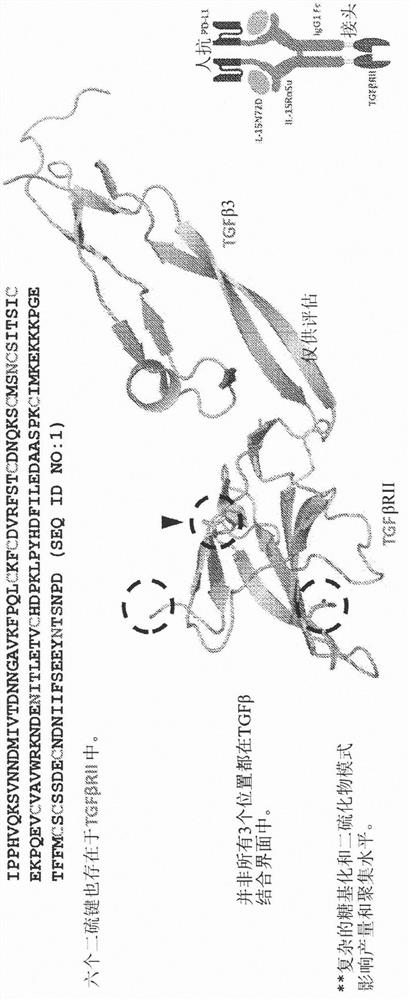 Modified N-810 and methods thereof