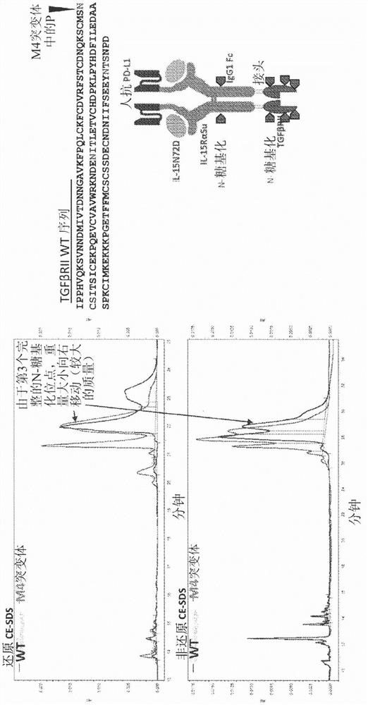 Modified N-810 and methods thereof