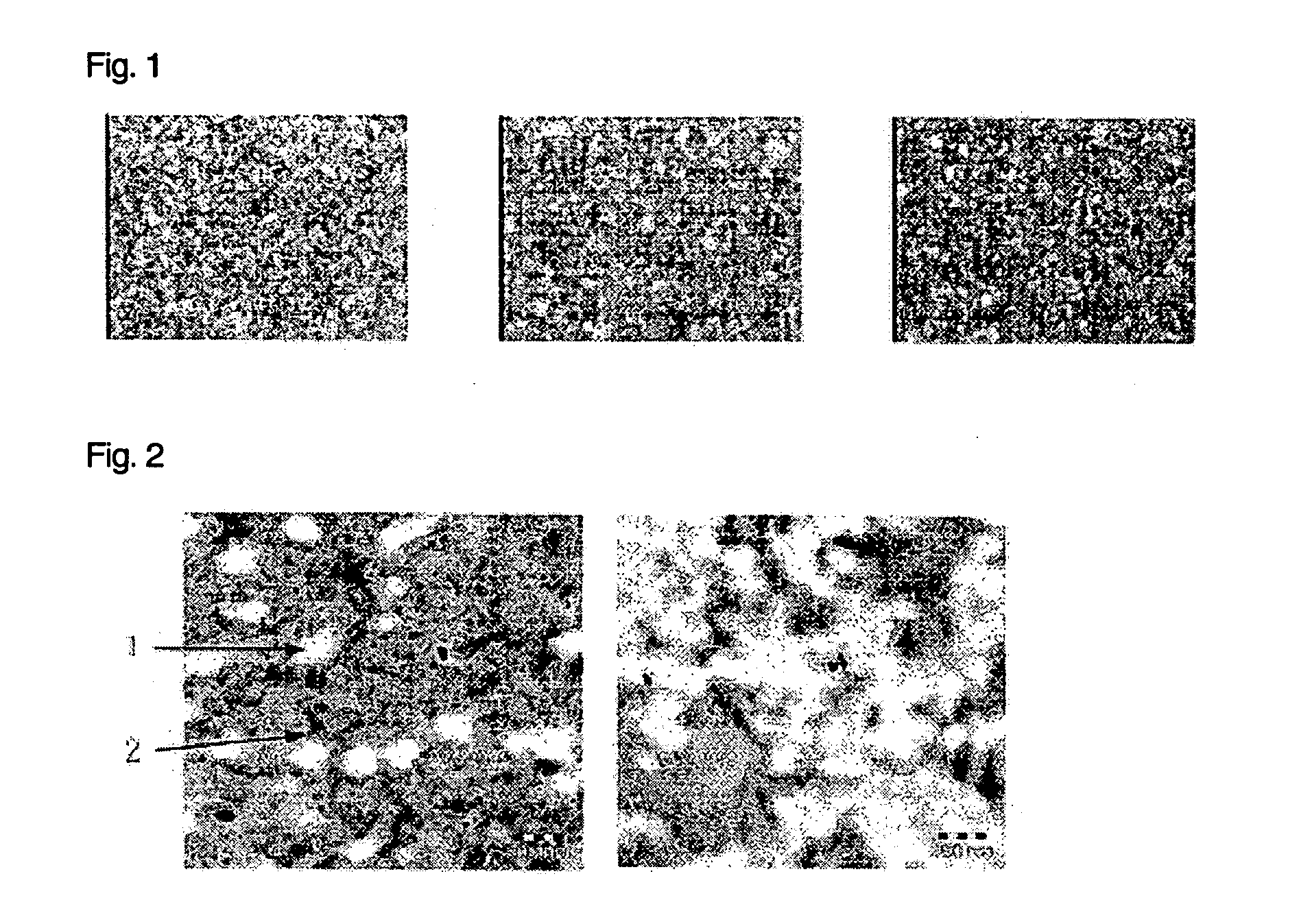 Thermosetting Water-Based Coating Composition and Method of Forming Coating Film