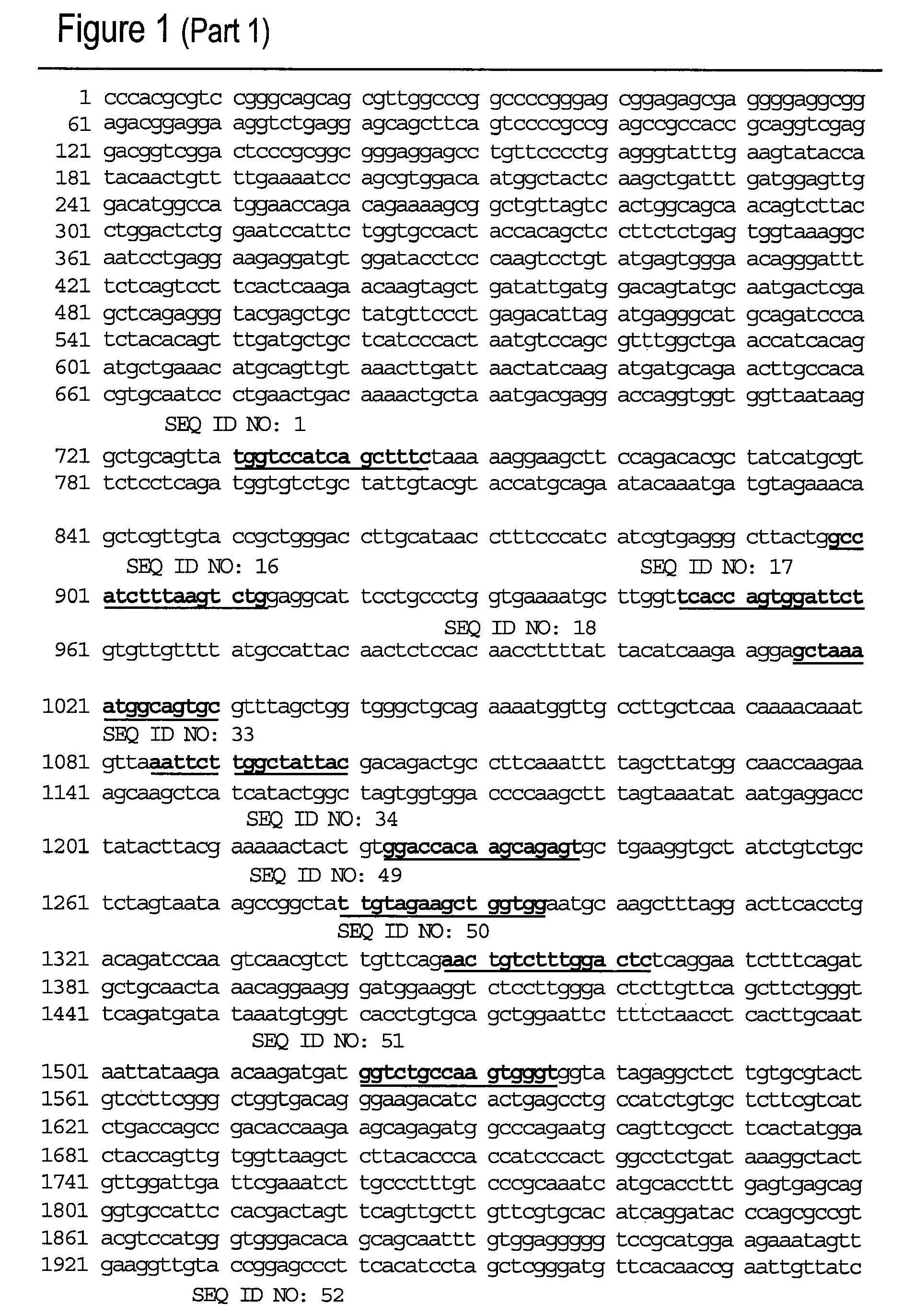 Compounds for the modulation of beta-catenin expression