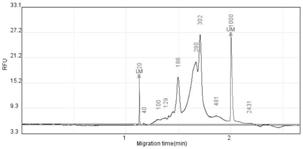 Library construction method for detecting endometrial cancer related gene mutation based on high-throughput sequencing