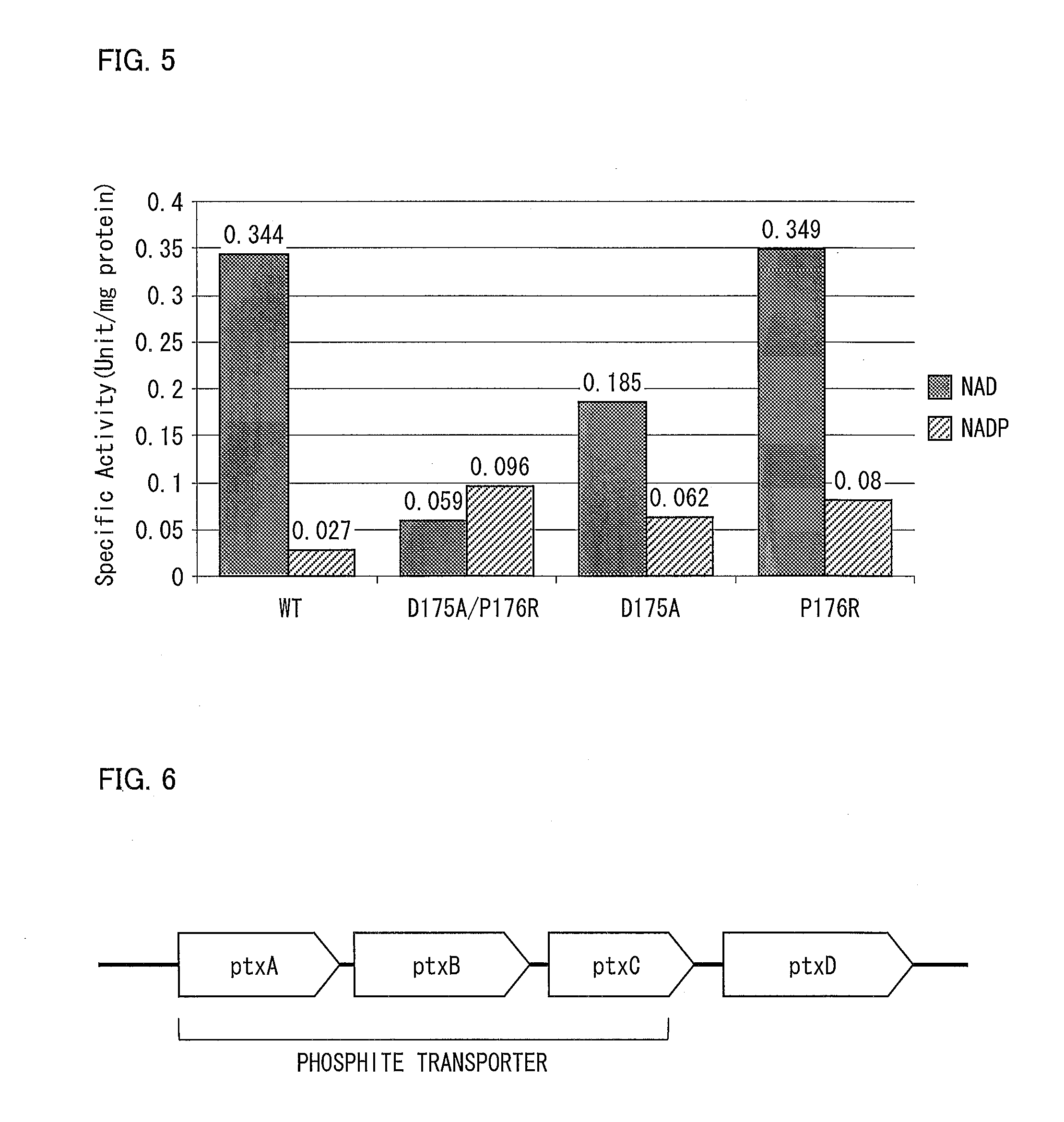 Method for selectively culturing microorganism using phosphite dehydrogenase gene as marker