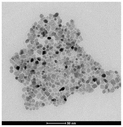 Metal oxide nanoparticles and preparation method of metal oxide nanoparticles