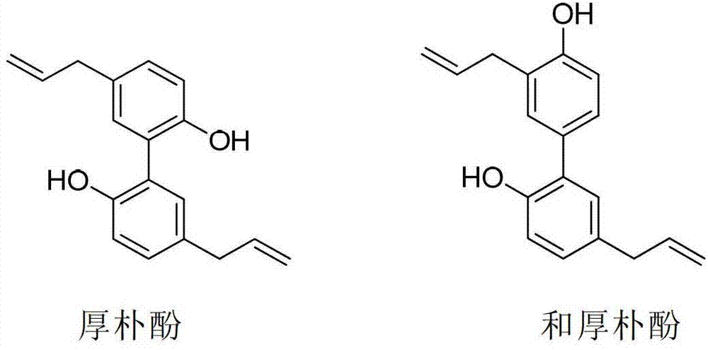 Magnolol derivative, honokiol derivative and preparation method and application thereof