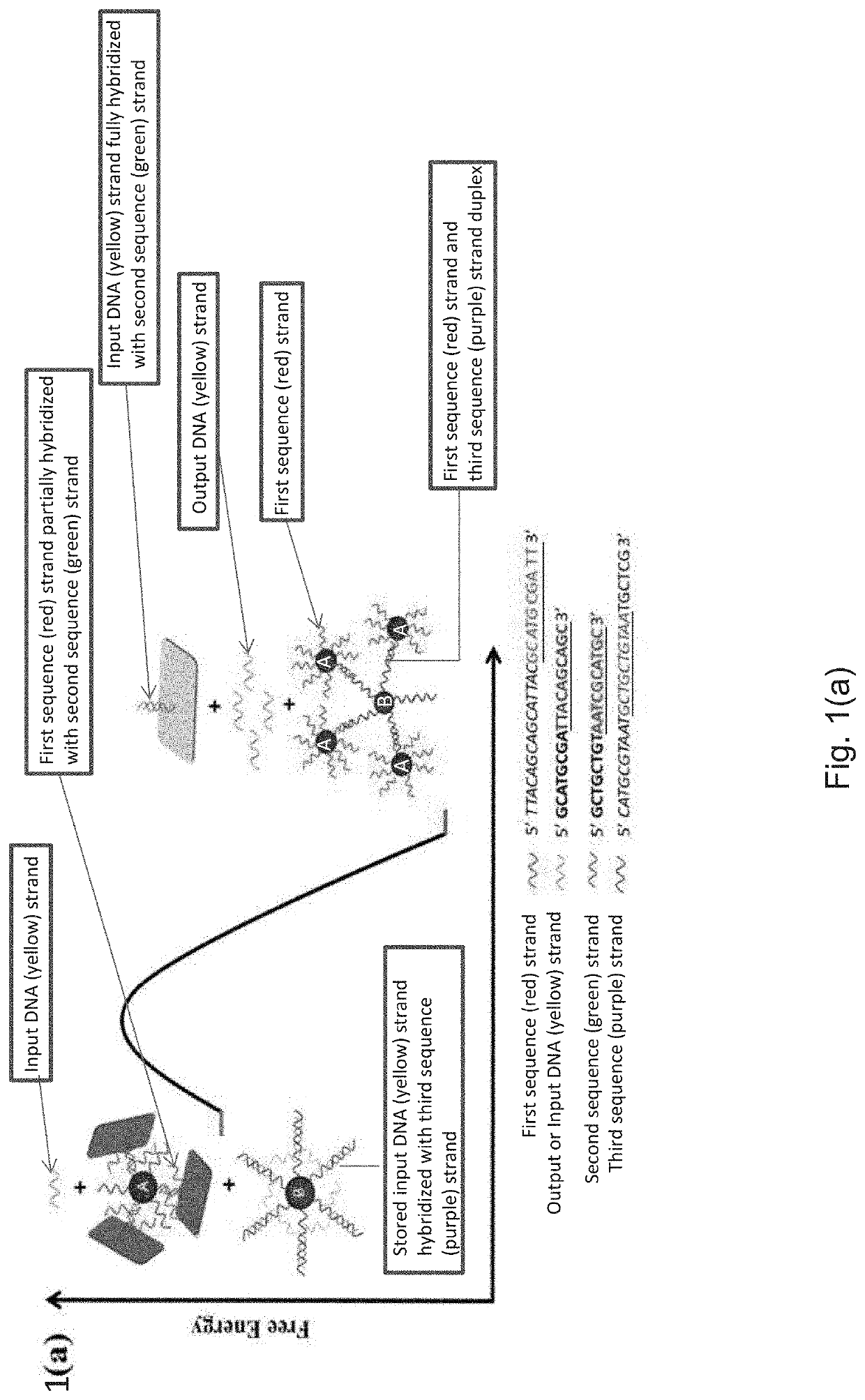 Methods for Isothermal Molecular Amplification with Nanoparticle-Based Reactions