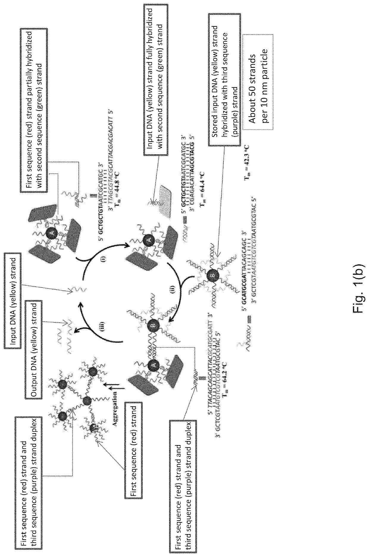 Methods for Isothermal Molecular Amplification with Nanoparticle-Based Reactions