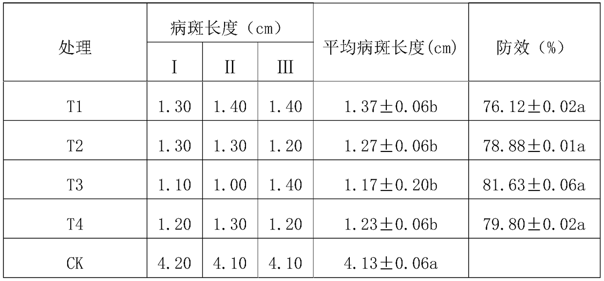 Synergistic compound for preventing and treating gray mold of strawberries and application of synergistic compound