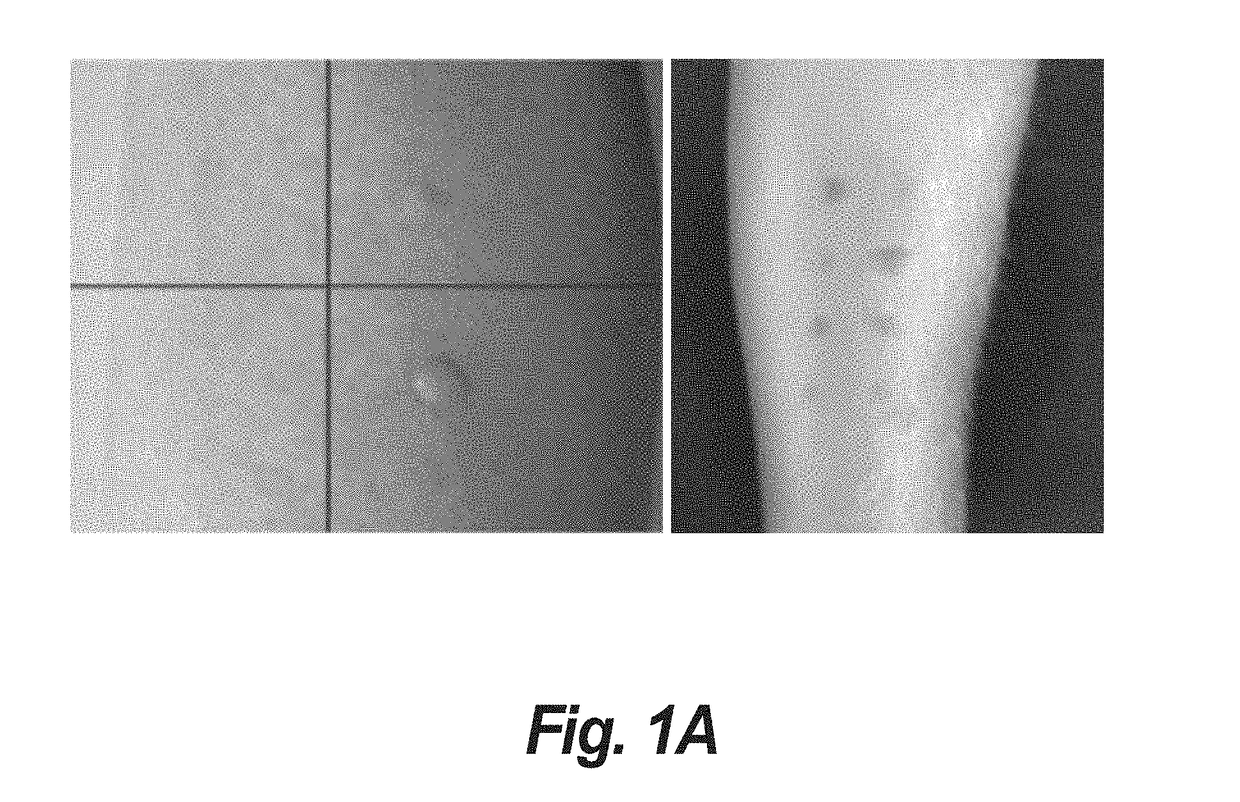 Systems and methods for image metrology and user interfaces