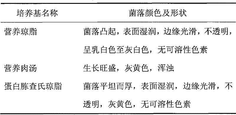 Method for producing 3,6-dichloropyrimidine-2-carboxylic acid by biocatalysis