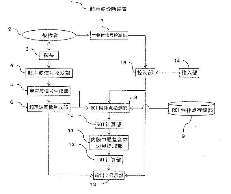 Ultrasonic diagnostic apparatus and region-of-interest