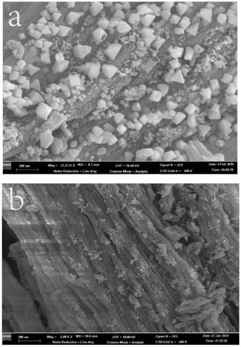 Mesoporous supported catalyst material and preparation method thereof