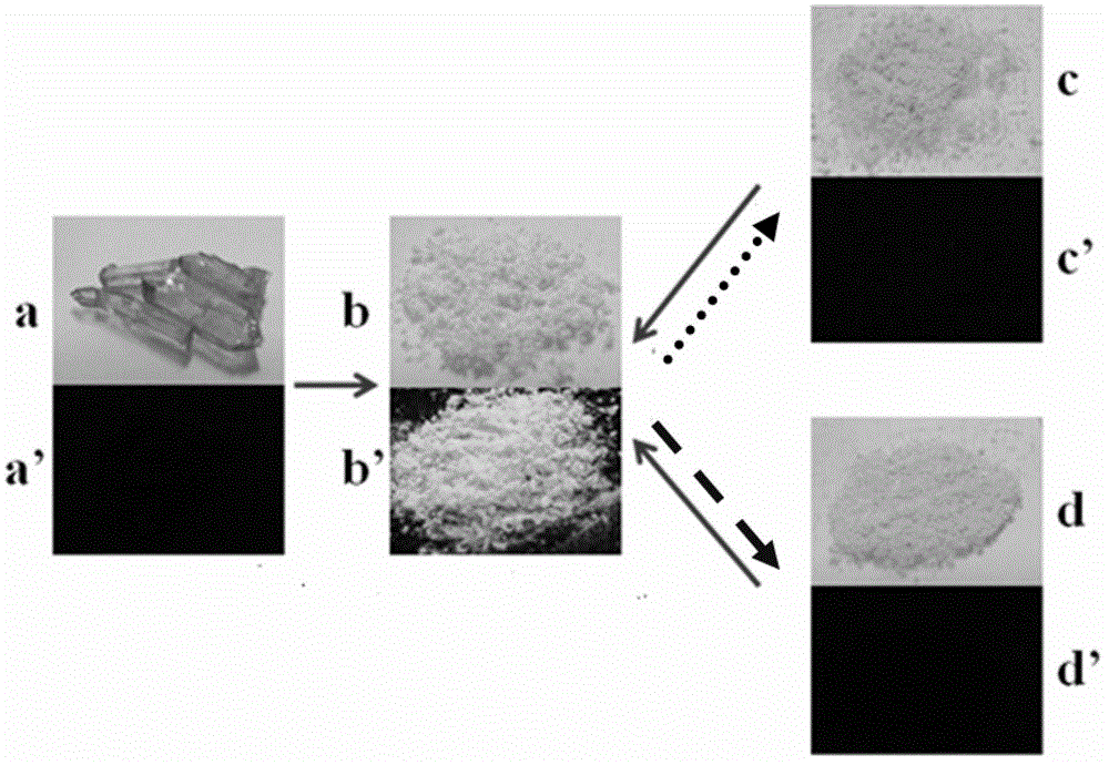 Preparation method and application of polynitro-substituted tetraphenyl ethylene compound