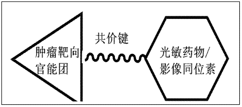 Medicines for targeted diagnosis and photosensitive therapy for cancer and application for same