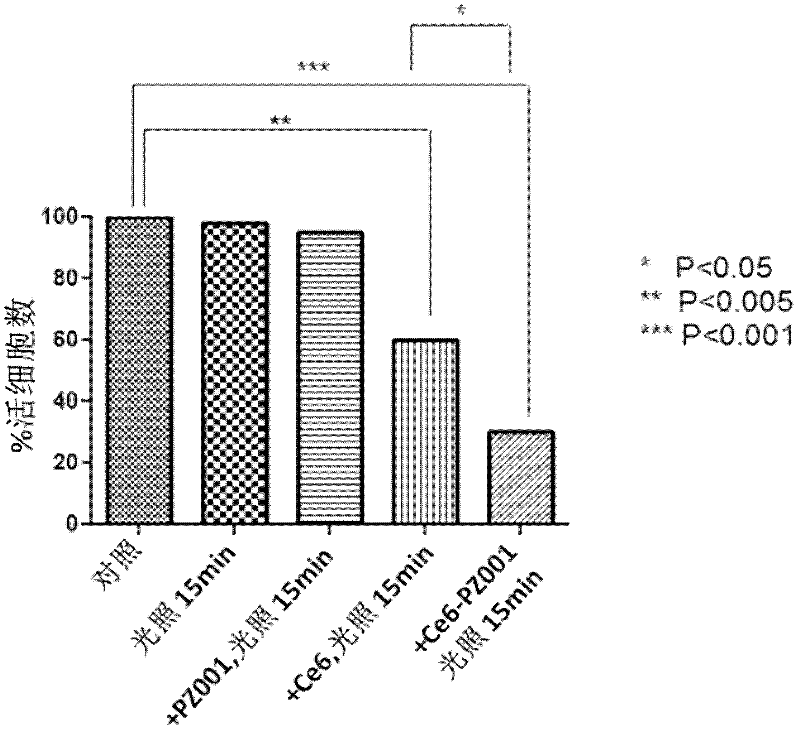 Medicines for targeted diagnosis and photosensitive therapy for cancer and application for same