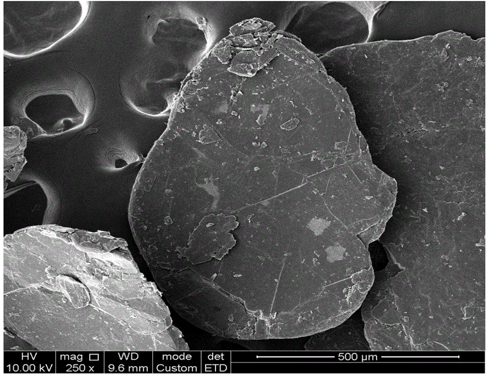 Water-based conductive polymer and graphene dispersion liquid and preparation method thereof