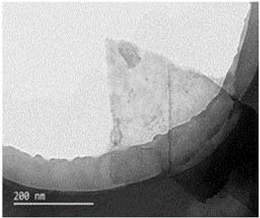 Water-based conductive polymer and graphene dispersion liquid and preparation method thereof