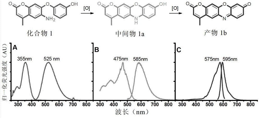 Reagent and method for detecting biological endogenous oxidants