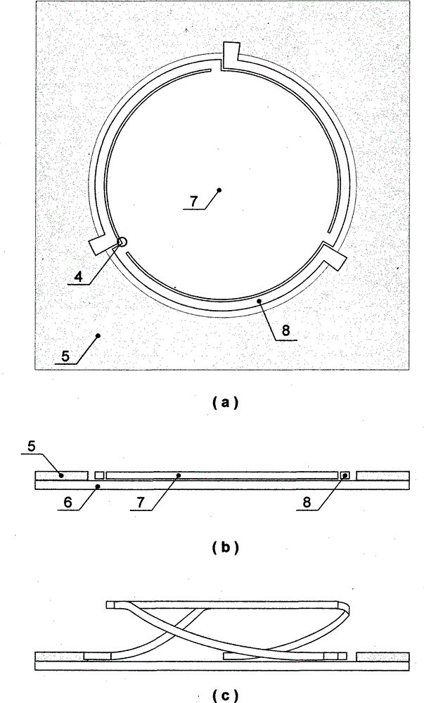 True reproduction of 3D stereoscopic display technology