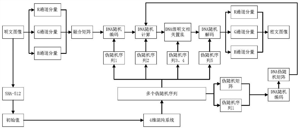 Color image encryption method based on new four-dimensional hyperchaos and DNA random coding calculation