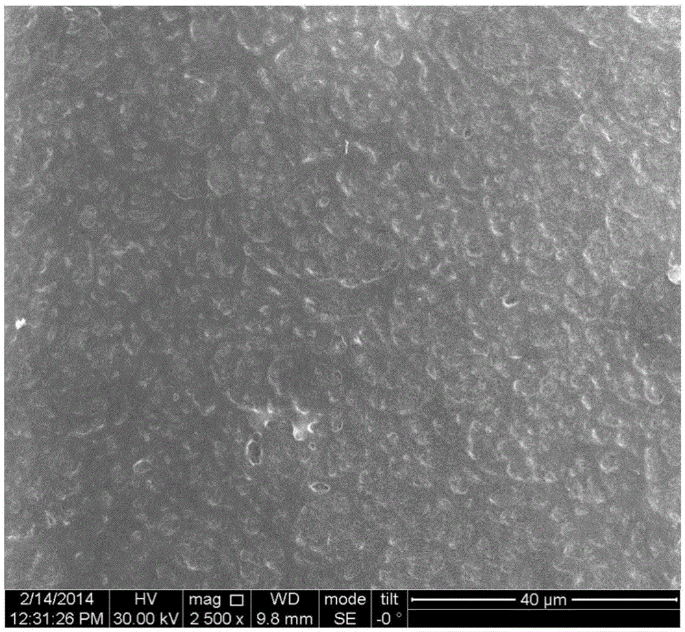 Water-based transparent super-amphiphobic nano-paint and preparation method and application thereof