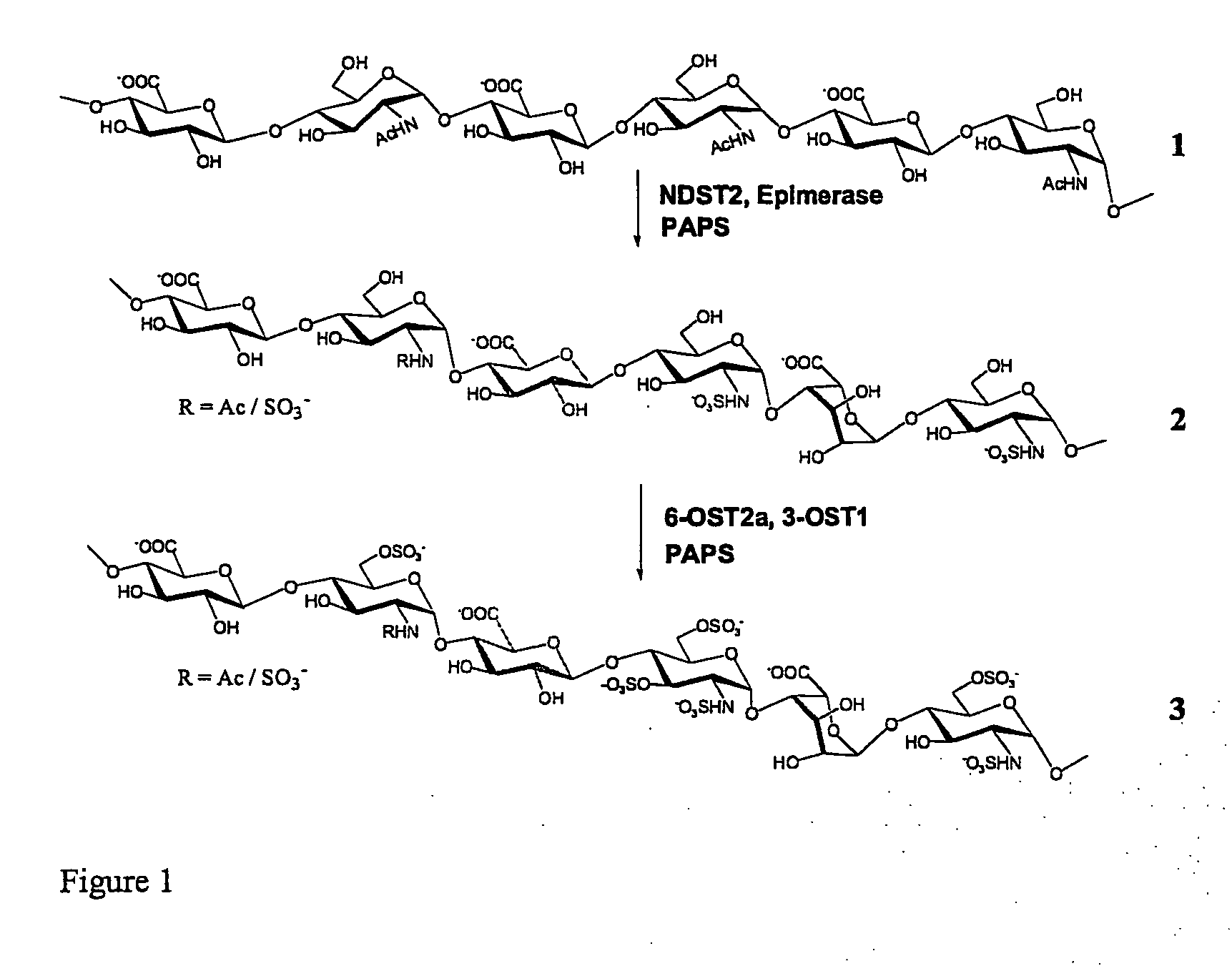 Methods for synthesis of sulfated saccharides