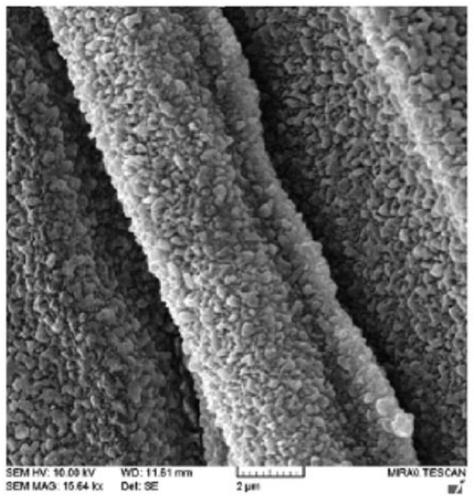 Hemostatic fabric containing trypsin and preparation method of hemostatic fabric