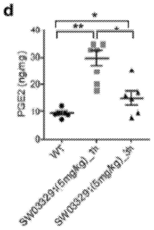 Compositions and methods for treating renal injury