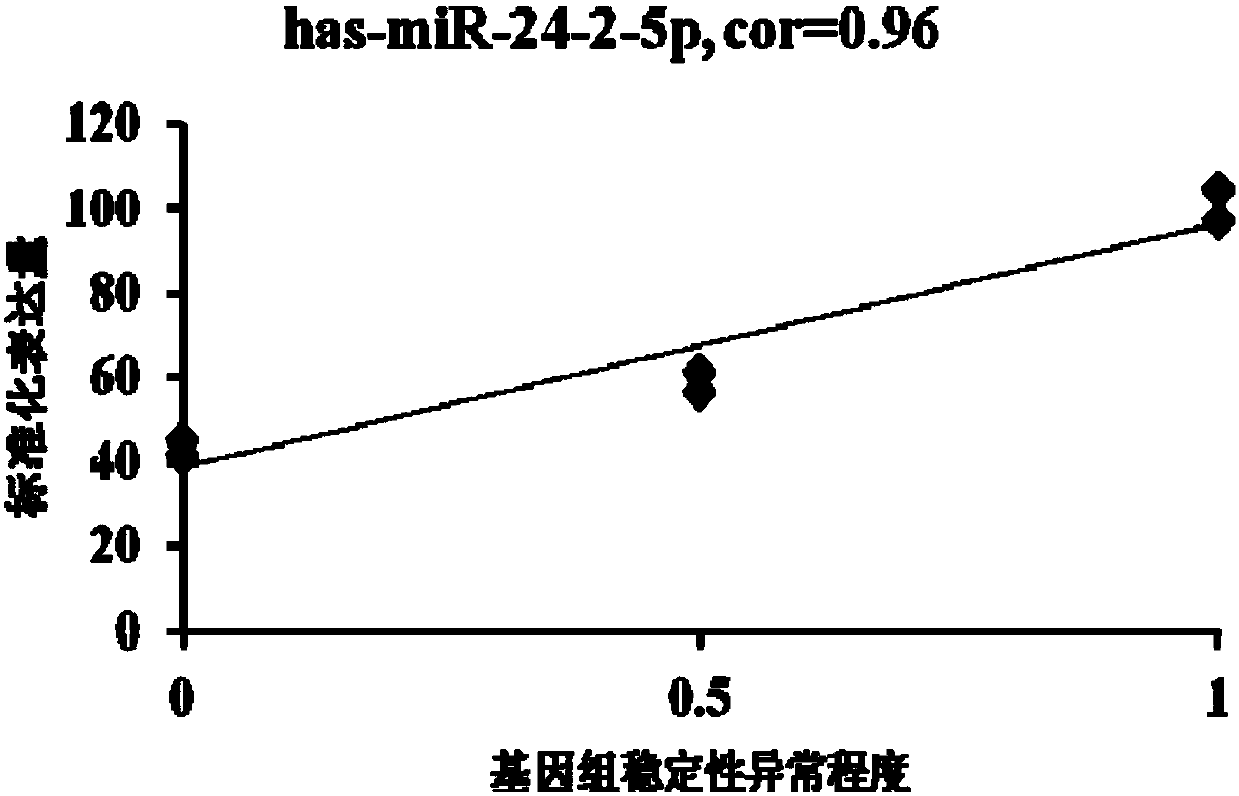 The miRNA related to genome stability of human umbilical cord blood mesenchymal stem cells and its application