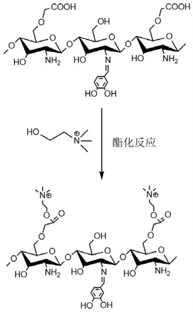 Choline polysaccharide conductive nervous tissue engineering hydrogel material as well as preparation method and application thereof