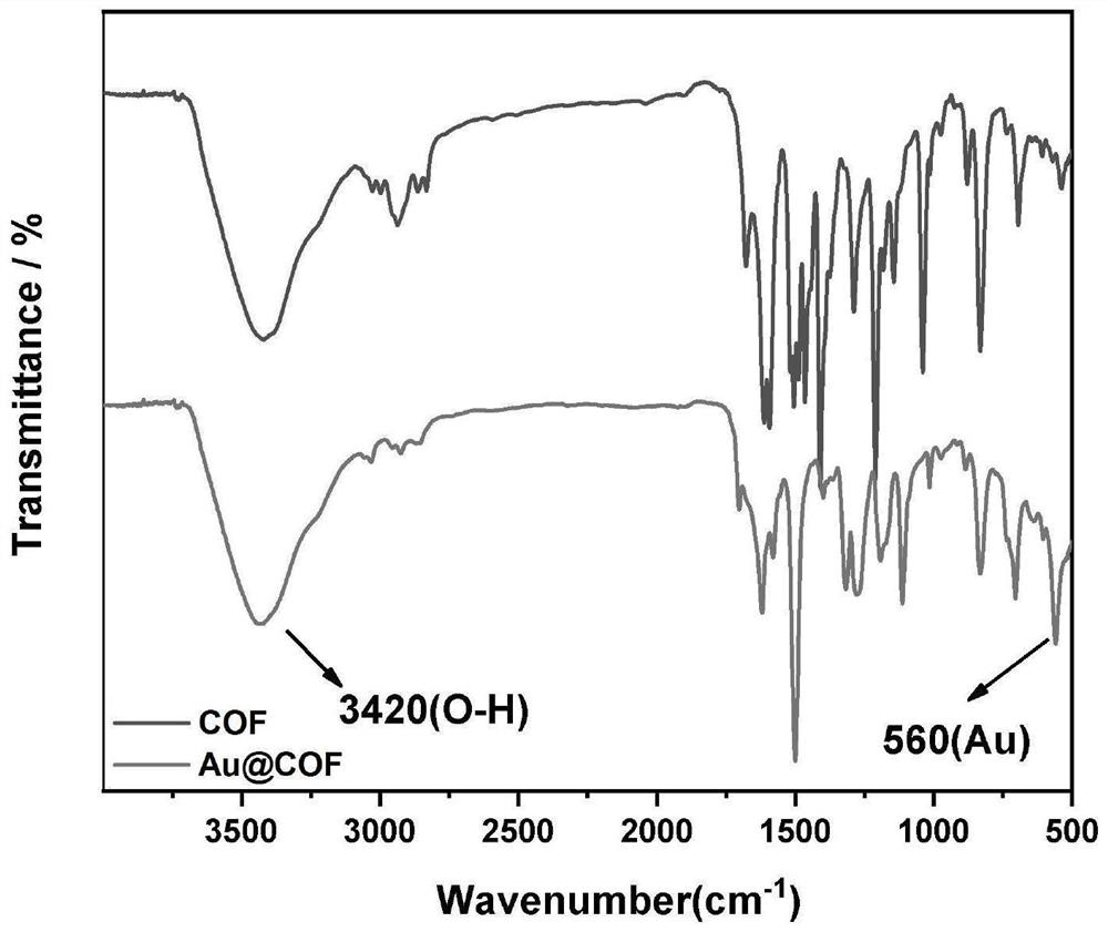 Biological probe and biological immunosensor for detecting bungarus multicinctus venom and method for detecting bungarus multicinctus venom based on proportional signal