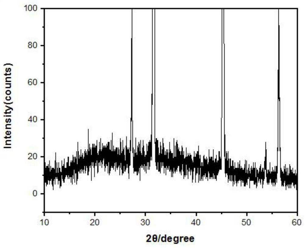 Biological probe and biological immunosensor for detecting bungarus multicinctus venom and method for detecting bungarus multicinctus venom based on proportional signal