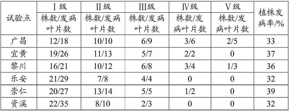 Tobacco planting method preventing heat-forced maturity